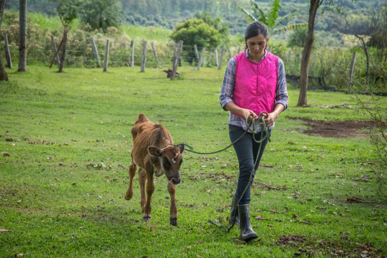 Nancy vend du fromage en utilisant le lait de sa propre vache