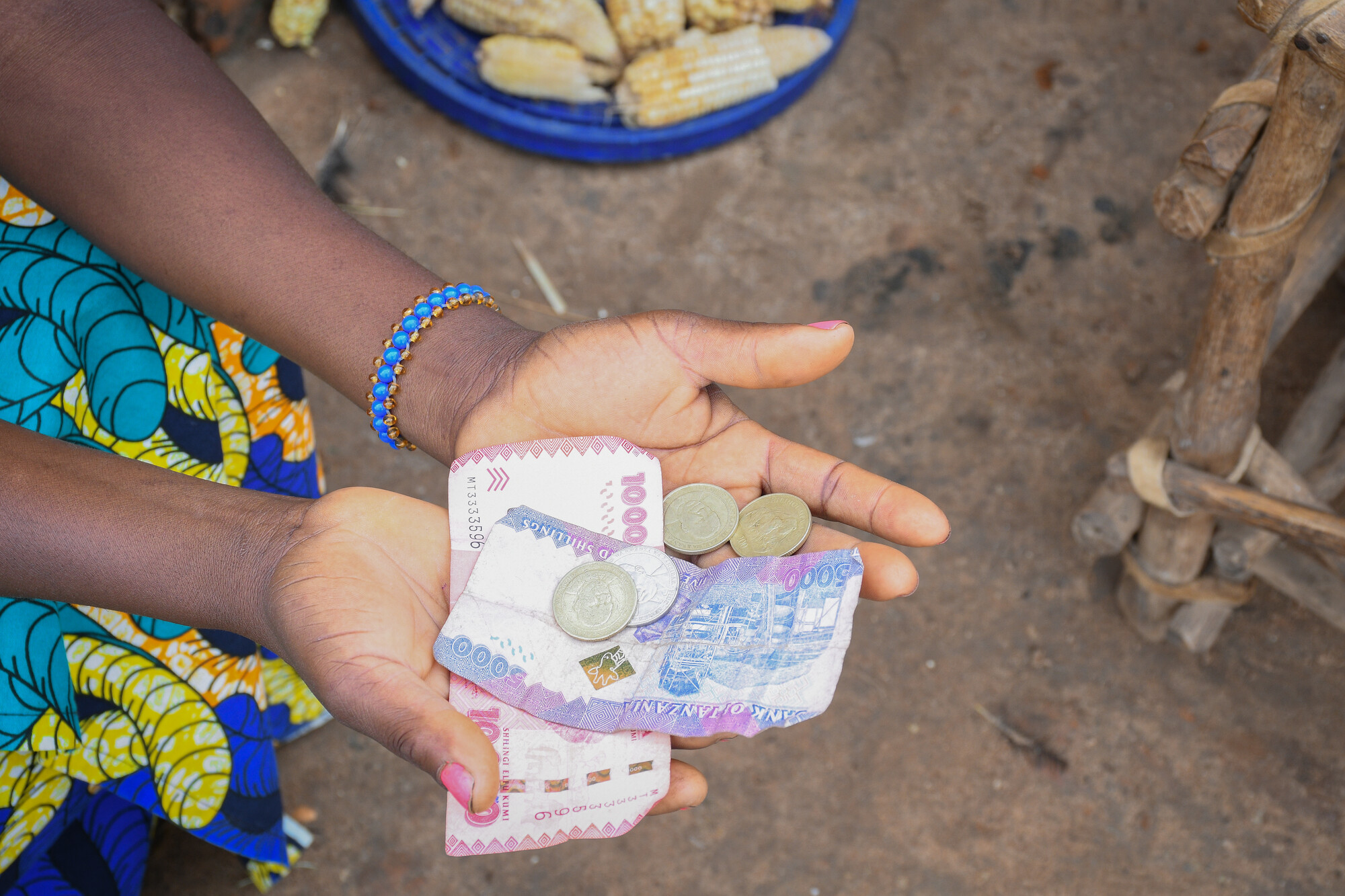 Tanzanie billets et pièces de monnaie