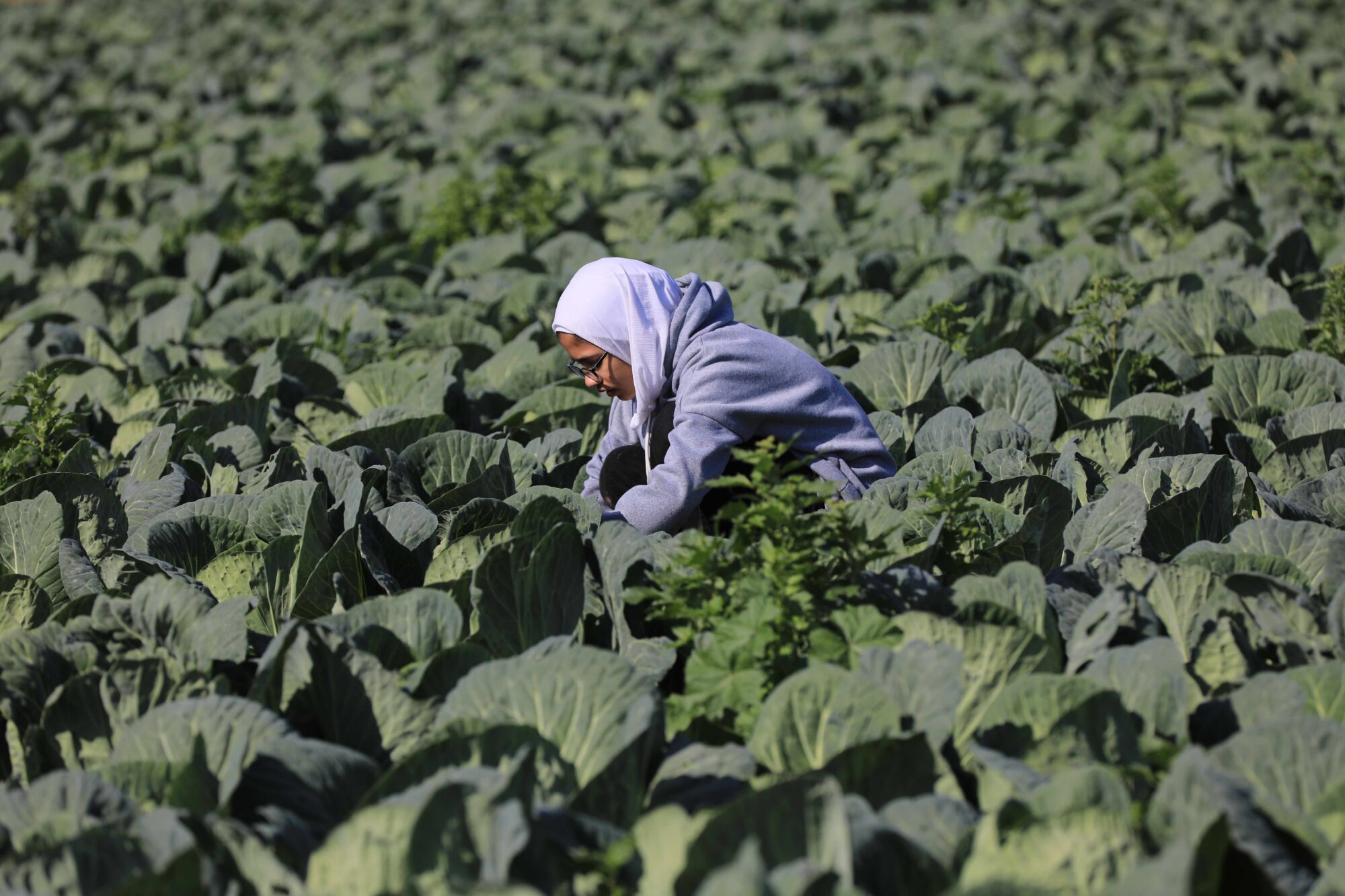 Jordanie fille travaillant dans les champs